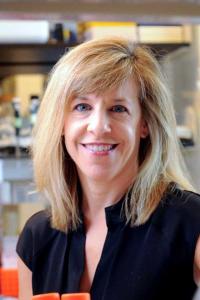 Lori Zeltser, PhD Profile Headshot